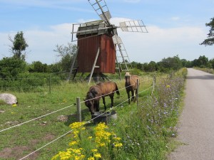 Naturen i Alböke 2012
